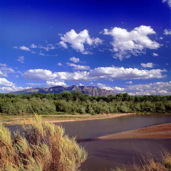 Sheraton Albuquerque Airport Hotel Exteriör bild